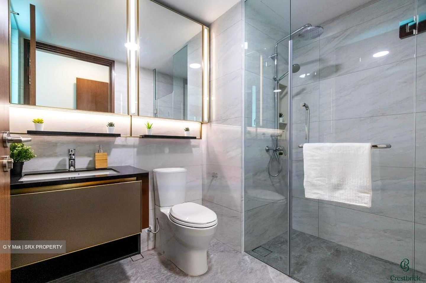 Normanton Park (D5), Apartment #457312711